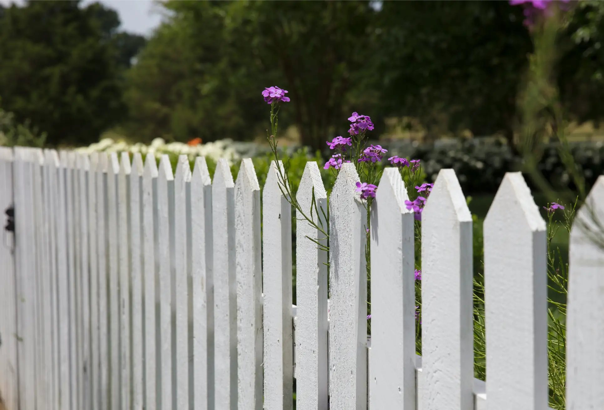 exterior fence painting for residential homes in Tampa Florida
